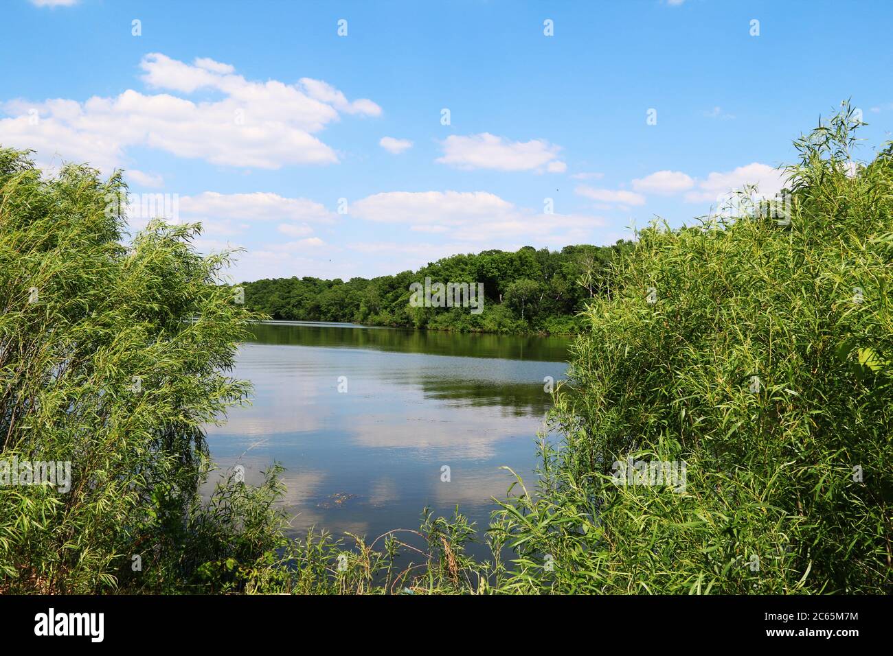 Ein ländlicher Teich mit Himmelsreflexion und Bäumen mit hellen Wolken Stockfoto