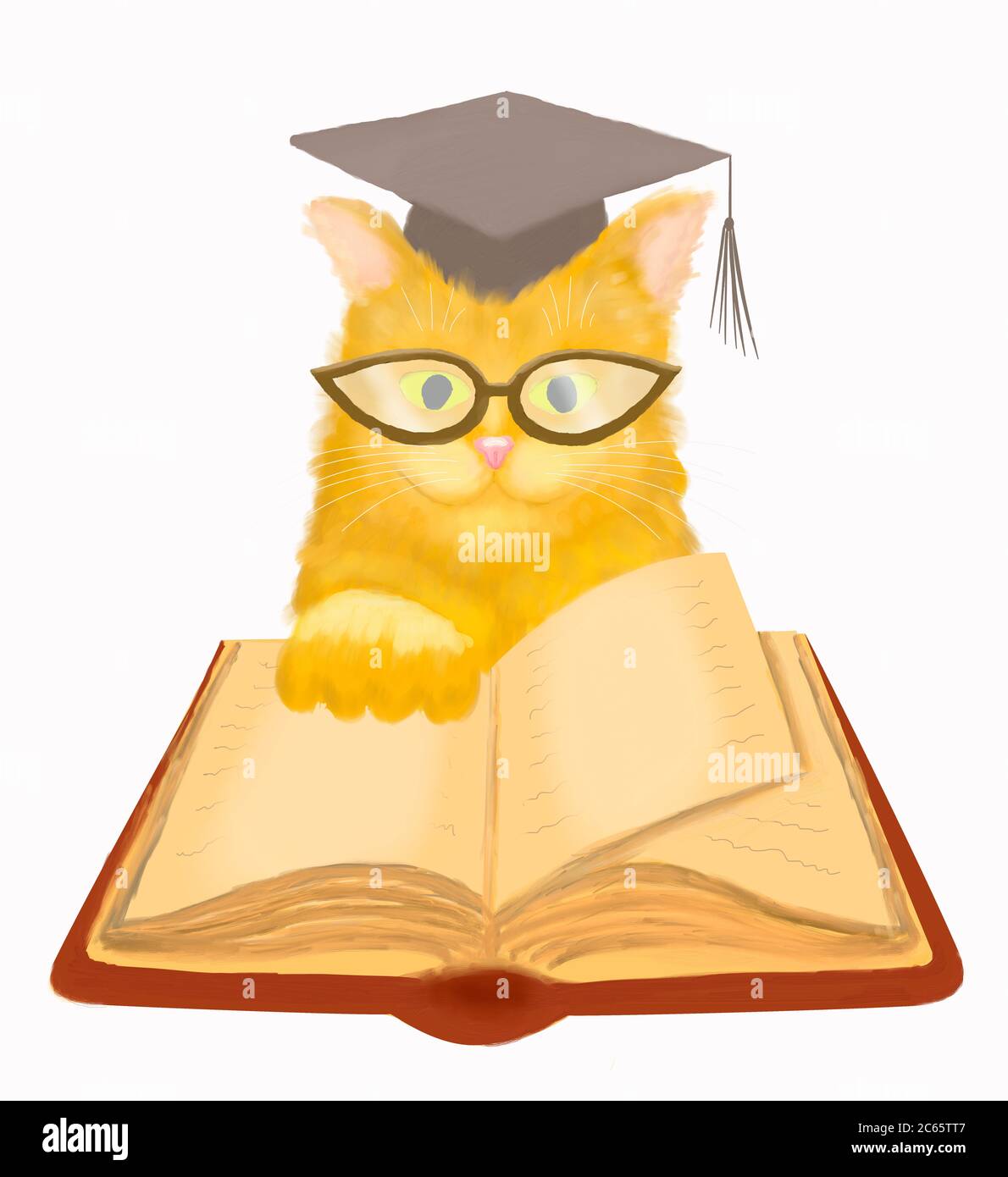 Smart Cat liest ein Buch. Abbildung auf weißem Hintergrund isoliert. Stockfoto