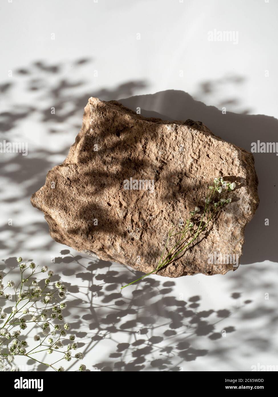 Mockup geometrische Form Podium Draufsicht. Steinform mit Gypsophila-Blüten Schattierungen auf weißem Hintergrund. Vertikal. Flach liegend Stockfoto