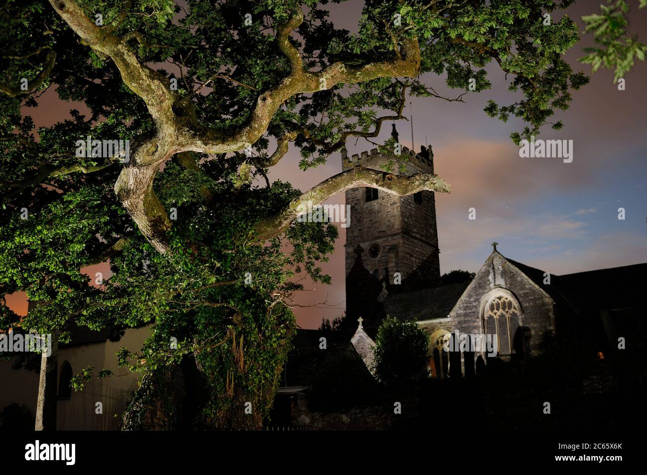 Meavy Oak und die Kirche dahinter in Meavy, Devon, Southern Dartmoor, England Stockfoto