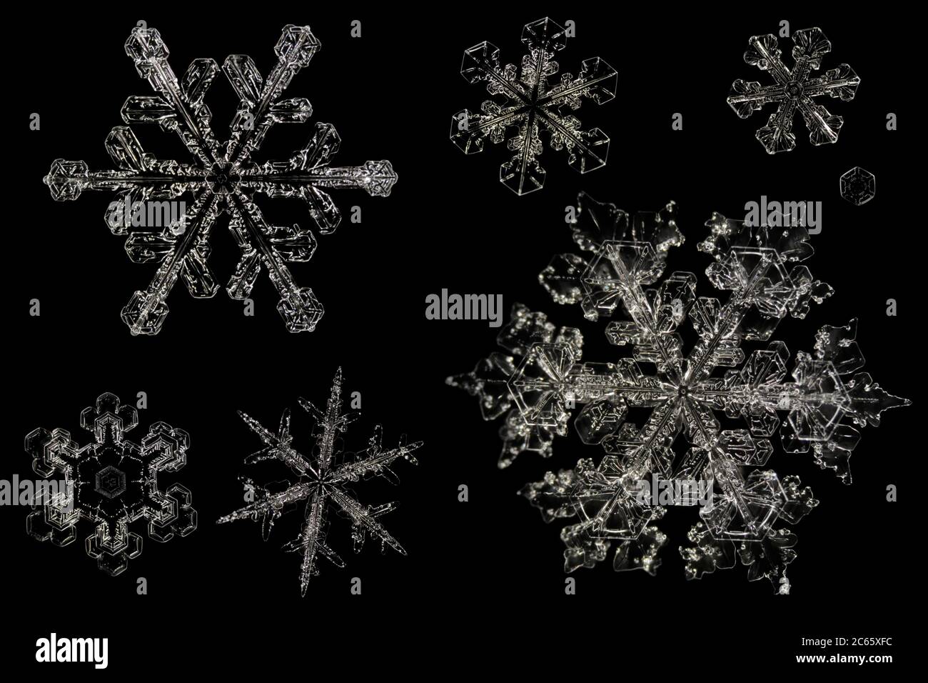 Schneekristalle, Schneeflocke unter dem Mikroskop vergrößert, Lillehammer,  Norwegen Stockfotografie - Alamy