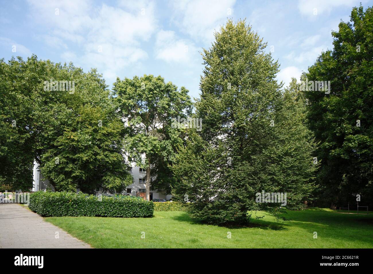 Vahr Stockfotos Und Bilder Kaufen Alamy