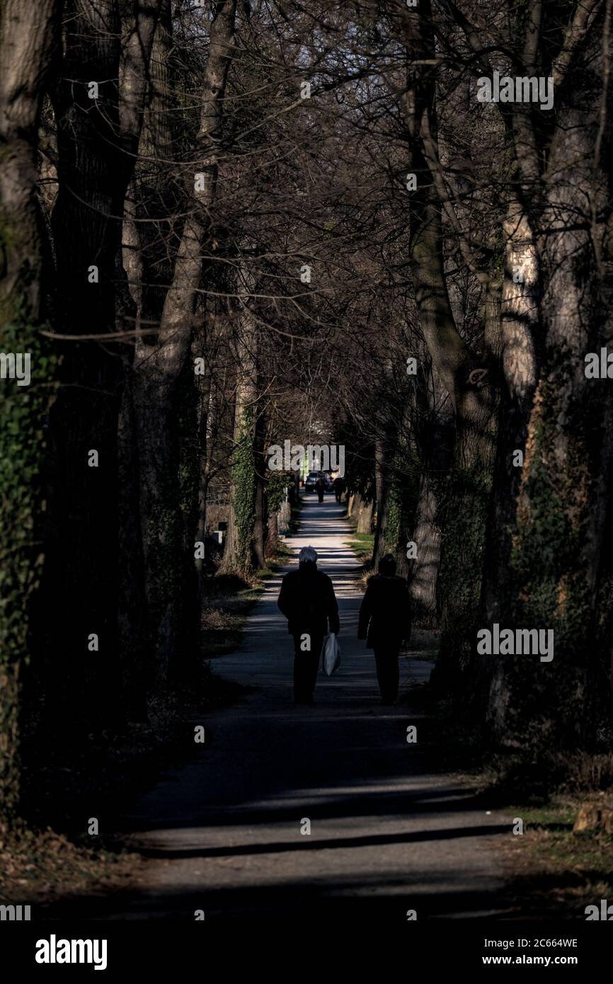 Avenue am Zentralfriedhof in Wien Stockfoto