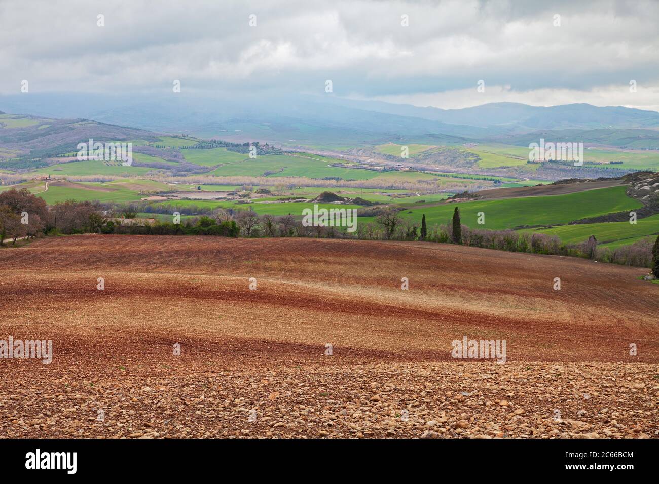 Pienza, Siena, Toskana, Italien: Landschaft des Val d'Orcia Landschaft mit Feldern und Wiesen auf den Hügeln des Naturschutzgebietes Lucciola Bella Stockfoto