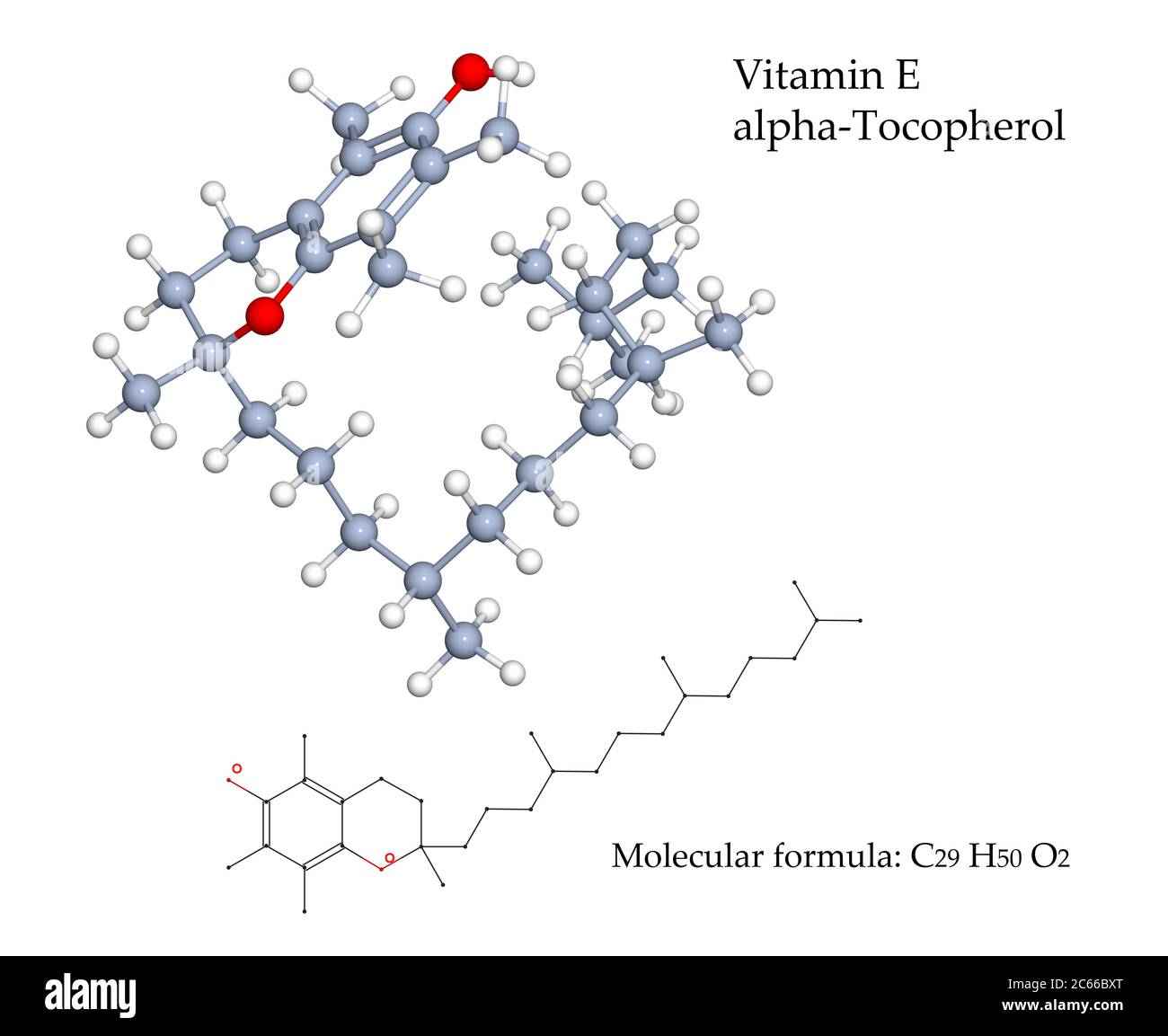 Vitamin E Alpha-Tocopherol-Molekül. Nahrungsquellen dieses Antioxidans sind pflanzliche Öle, Nüsse, Samen und angereichertes Frühstückscerealien. 3d-Illustration Stockfoto