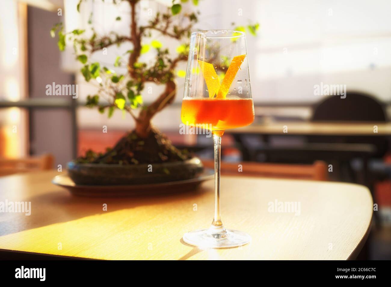 Japanischer Cocktail mit Zitronenschale in Weinglas, Bonsai-Baum, getönt Stockfoto