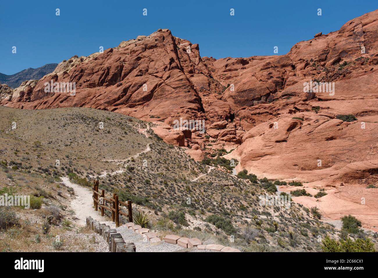 Red Rock Canyon in der Nähe von Las Vegas, Nevada, USA Stockfoto