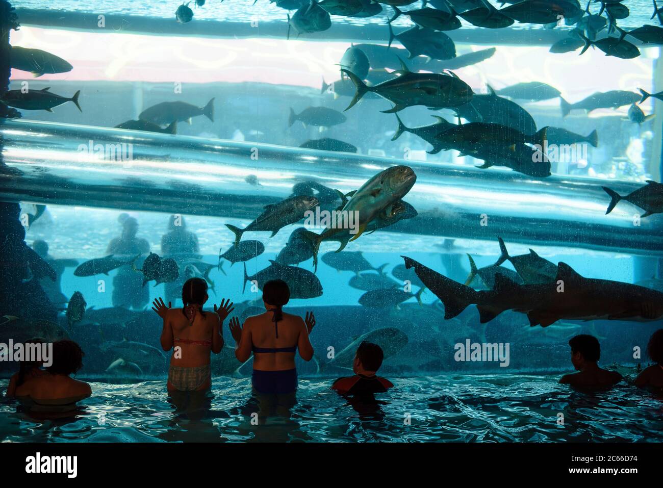 Schwimmbad und Aquarium im Golden Nugget Hotel, Old Vegas, Las Vegas, Nevada, USA Stockfoto