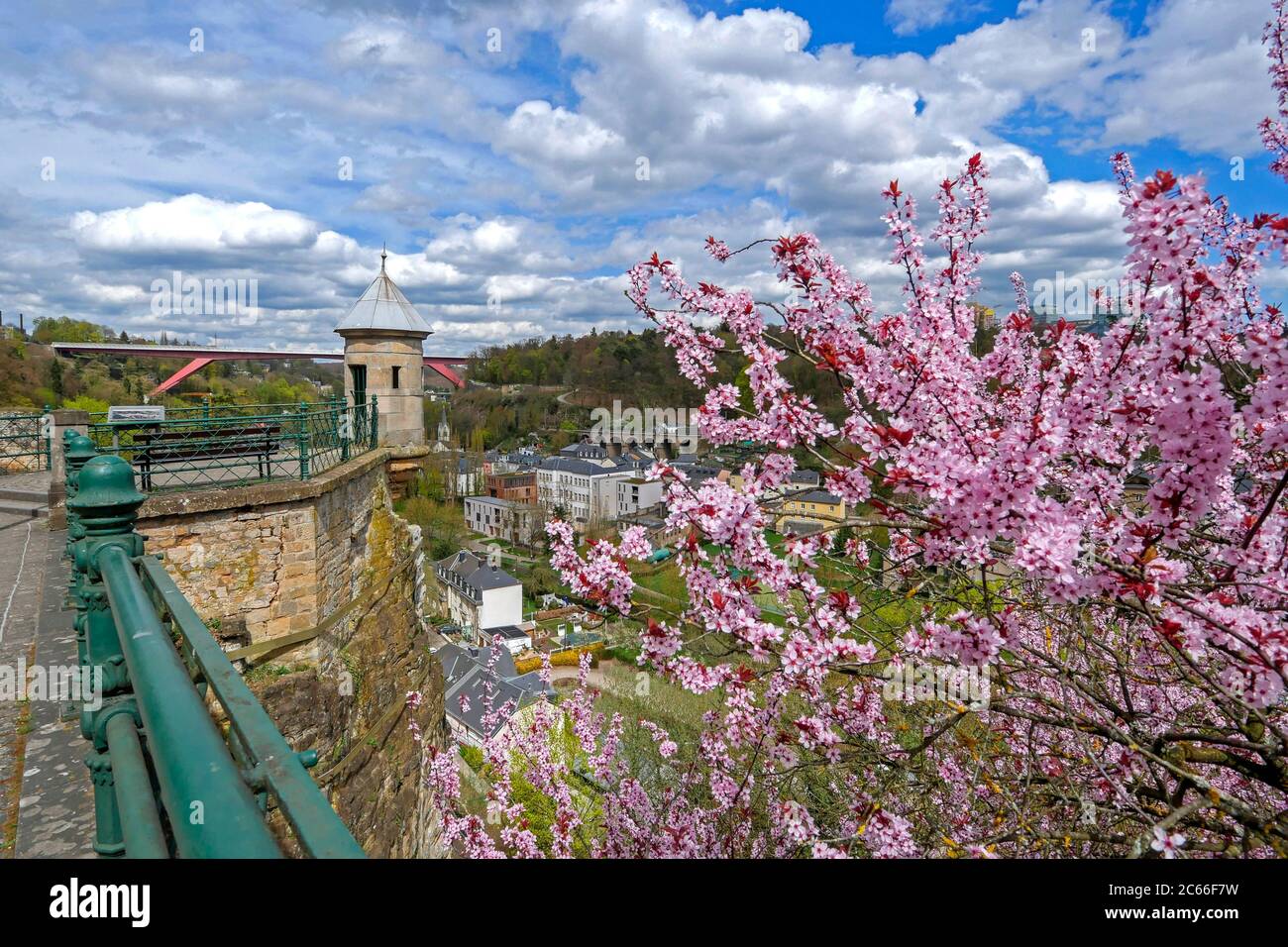 Alzette-Tal mit der Großherzogin Charlotte-Brücke, Luxemburg-Stadt, Luxemburg Stockfoto