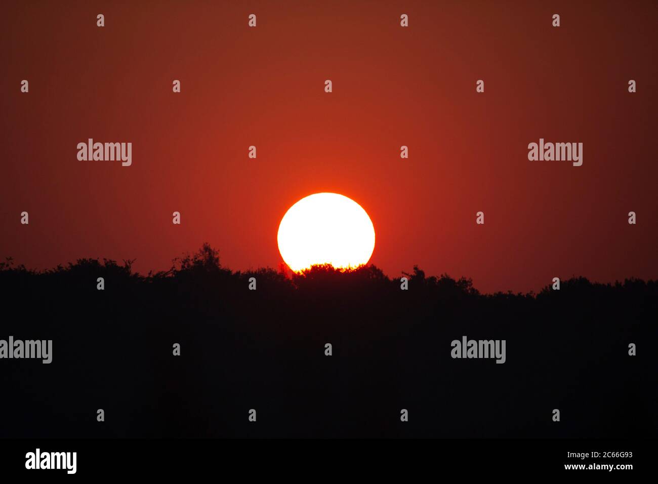 Roter Morgenhimmel und aufgehende Sonne Stockfoto