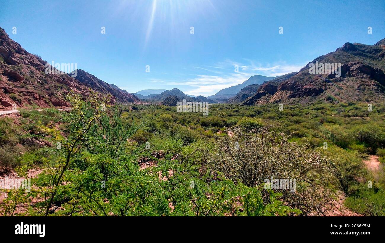 Wald in einem riesigen Tal umgeben von vielen Bergen in Argentinien Stockfoto