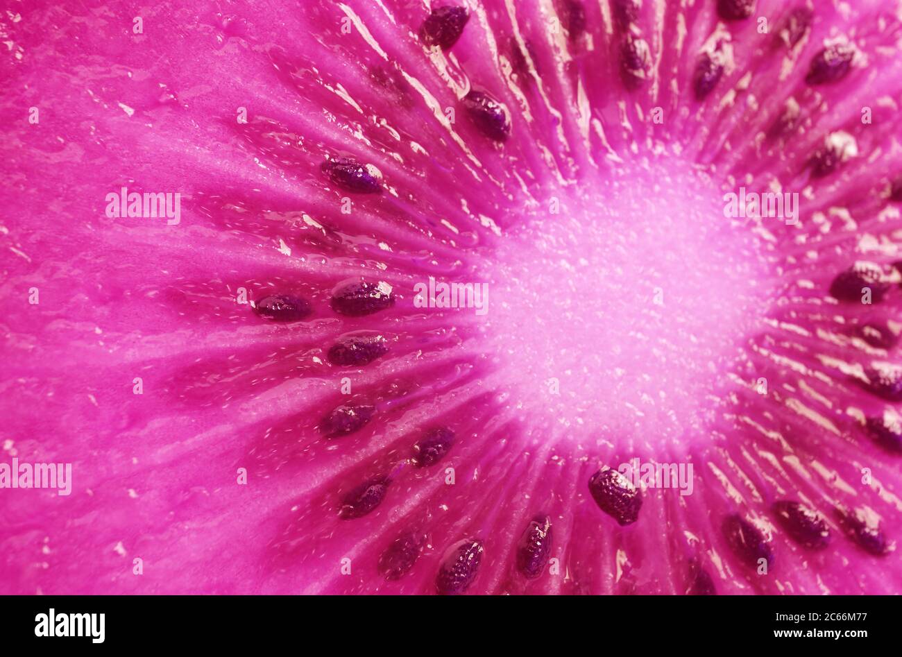 Pop Art Surreal Style schockierende rosa gefärbte Kiwi Obst Cross Section einzigartige Textur Stockfoto