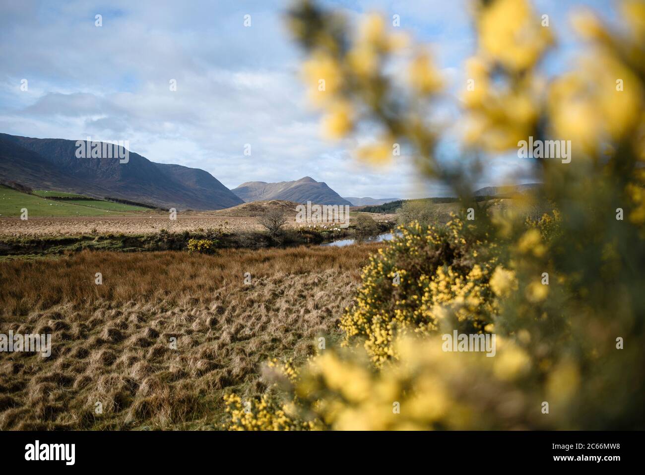 Landschaft im Nationalpark Connemara, Irland Stockfoto