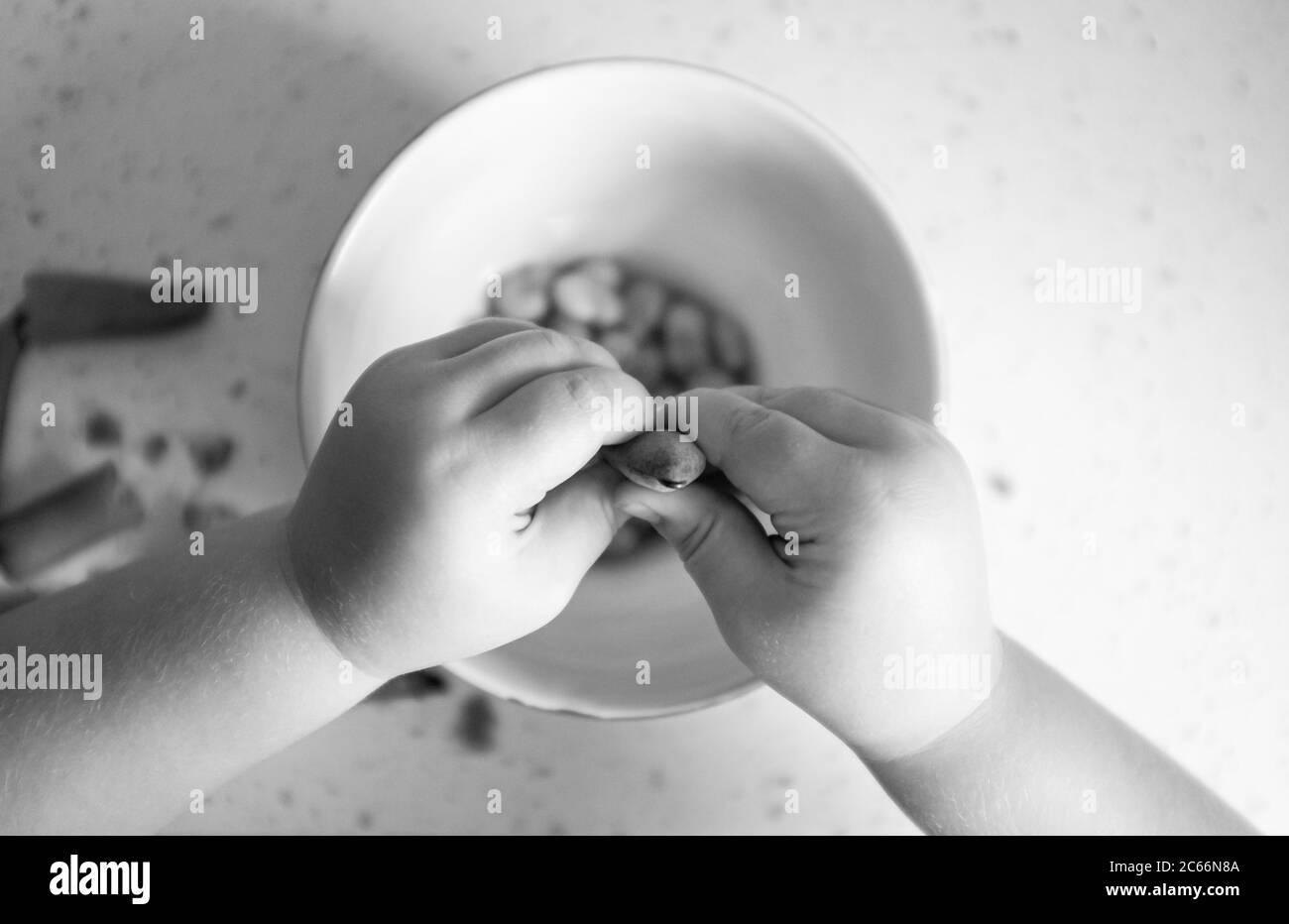 Junge 3-jährige Mädchen shucking frisch gepflückt hausgewachsenen Bohnen - Vicia faba - bereit für das Kochen Foto von Simon Dack aufgenommen Stockfoto