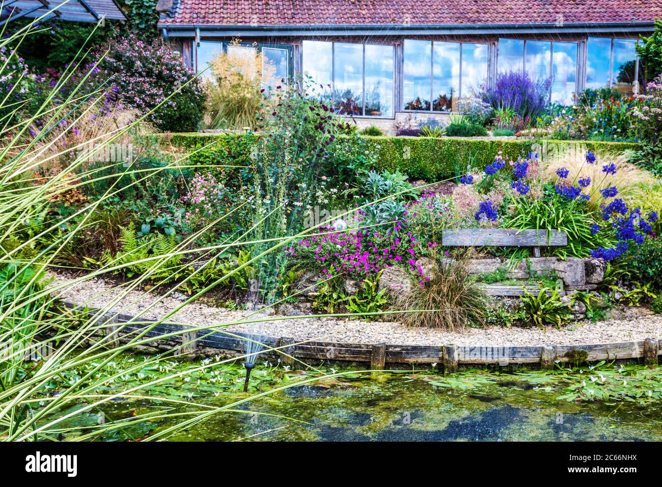 Ein Ziergarten Teich und terrassenförmig krautigen Grenzen in einem englischen Landgarten. Stockfoto
