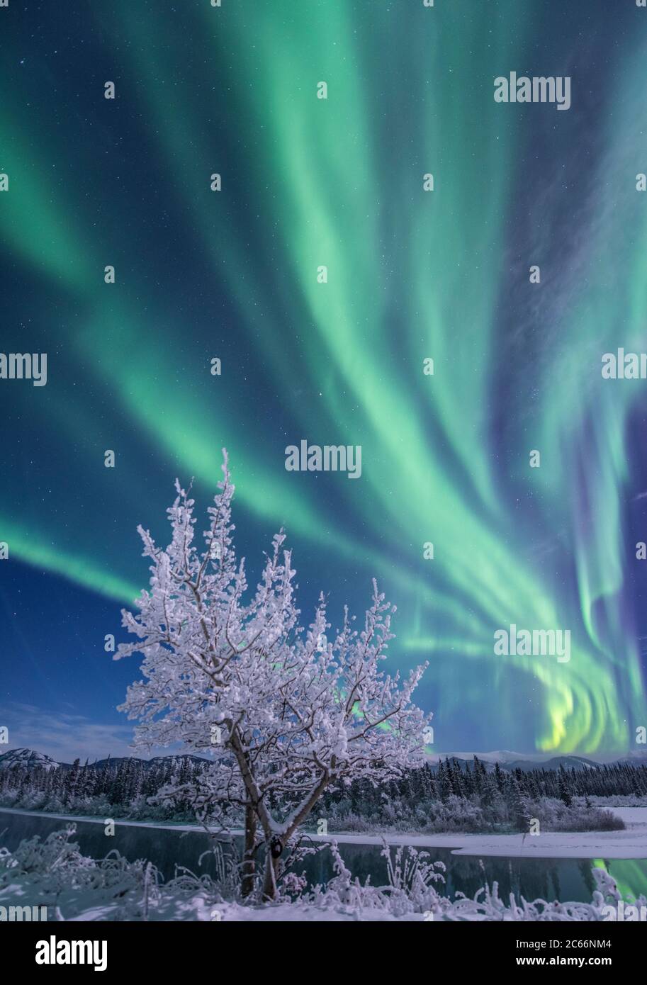 Northern lights Tanz in den Himmel, Yukon Territory, Kanada Stockfoto