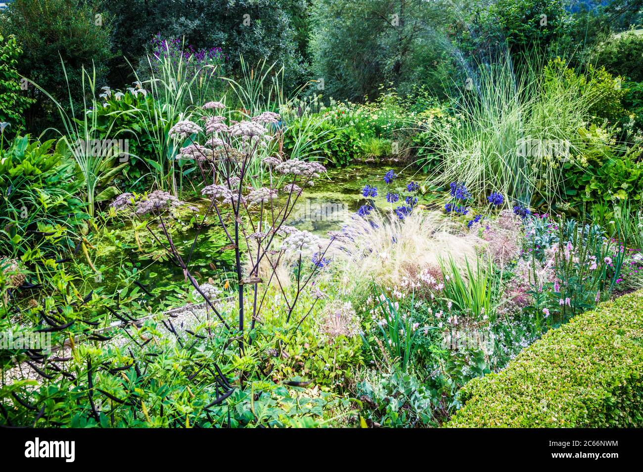 Schotterweg durch üppiges Gartenwachstum führt zu einem Teich. Stockfoto