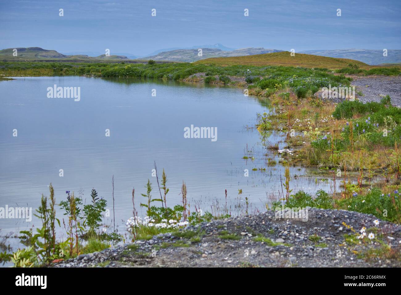 Island, thingvellir Nationalpark Stockfoto