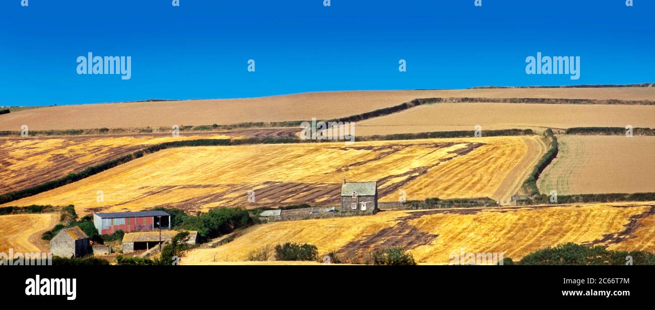 Ländliche Landschaft, Cornwall, abgesicherte Ackerfelder rund um ein Steinhaus Stockfoto