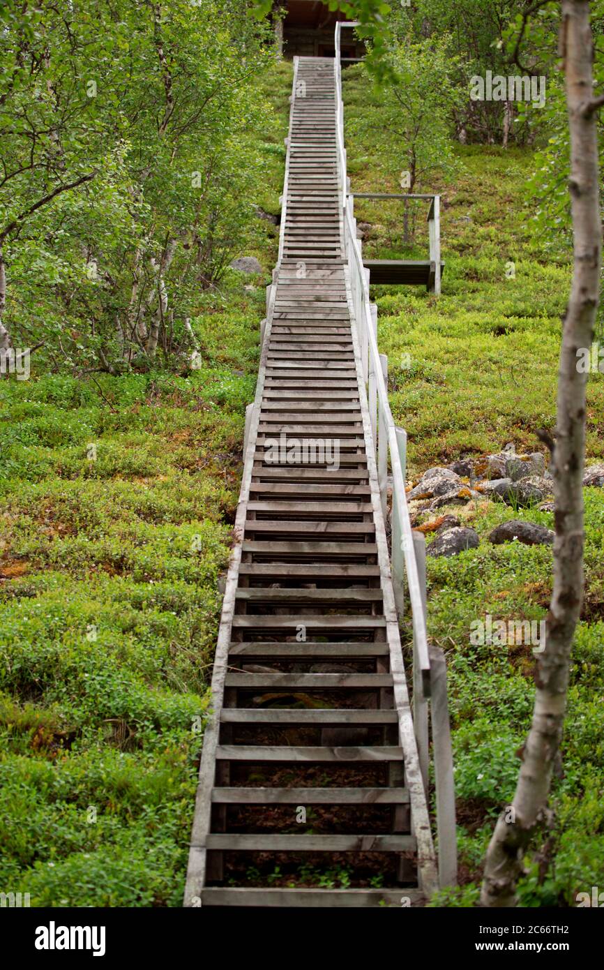 Hundert Stufen hinauf, Holztreppen in Lappland, Finnland Stockfoto