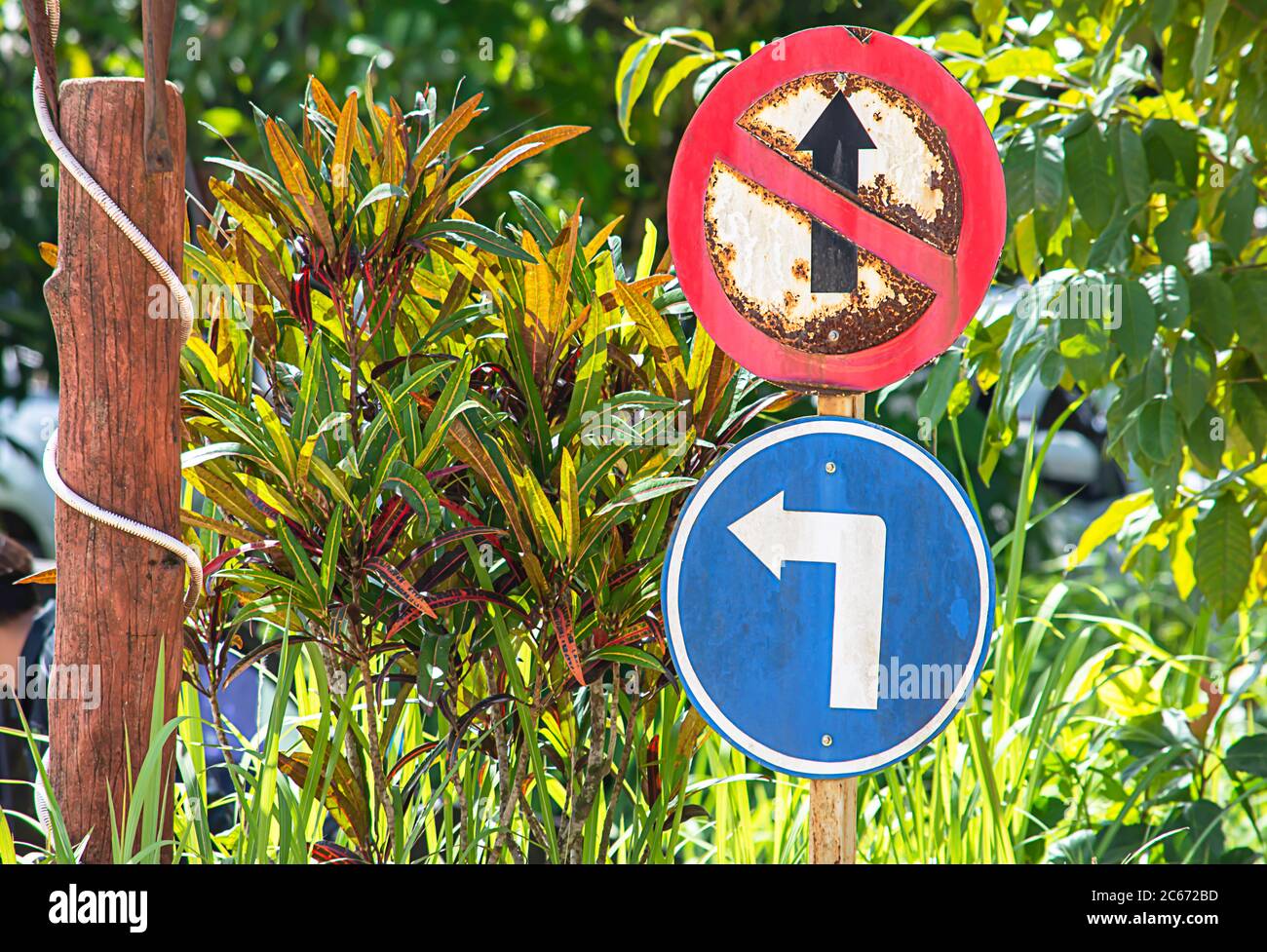 Verkehrszeichen Kreis, die verboten ist, geradeaus zu gehen und biegen Sie links Hintergrund verschwommen Baum. Stockfoto