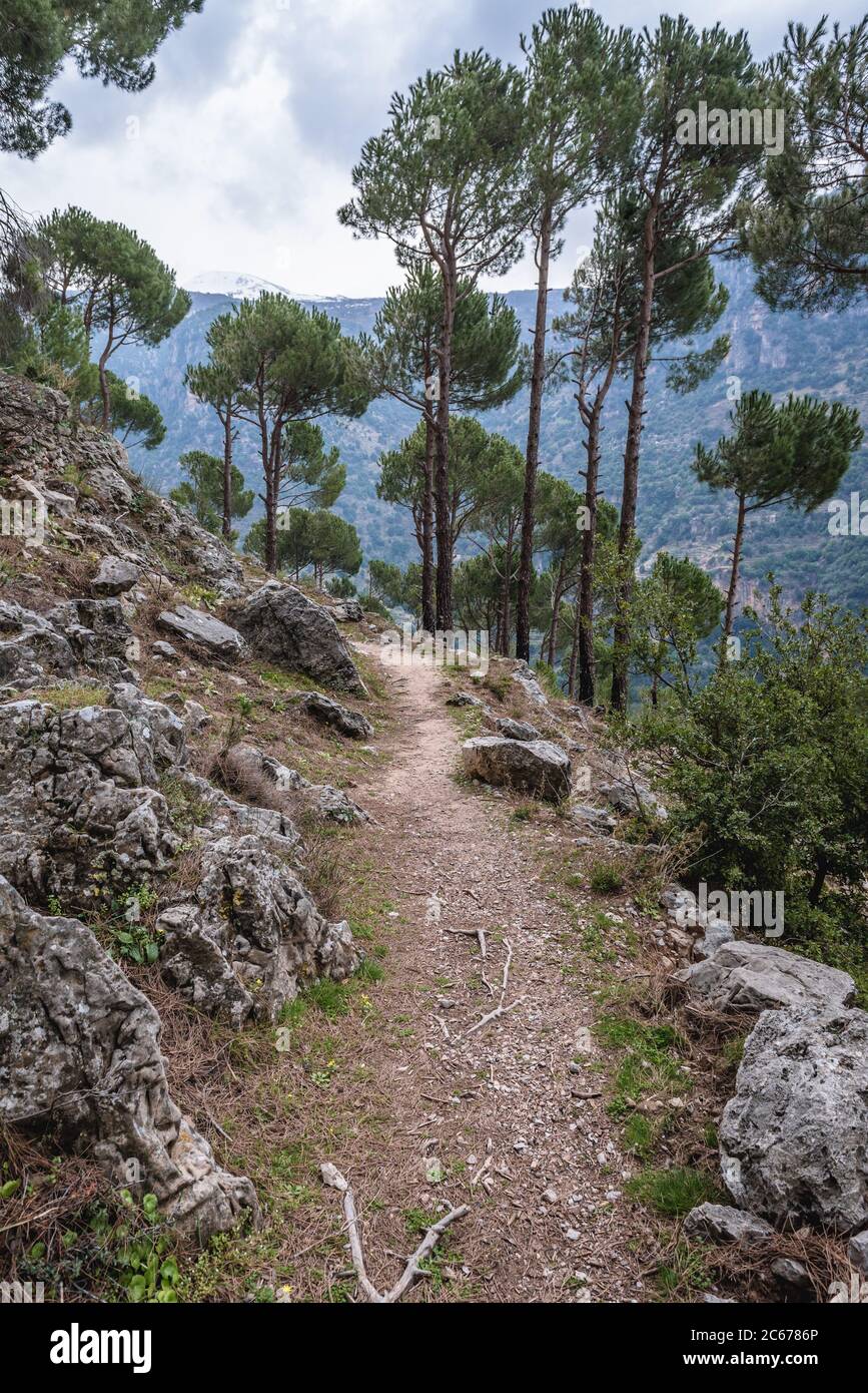 Wanderweg mit Blick auf das Kadisha-Tal auch als Heiliges Tal im Norden des Libanon Governorate Stockfoto