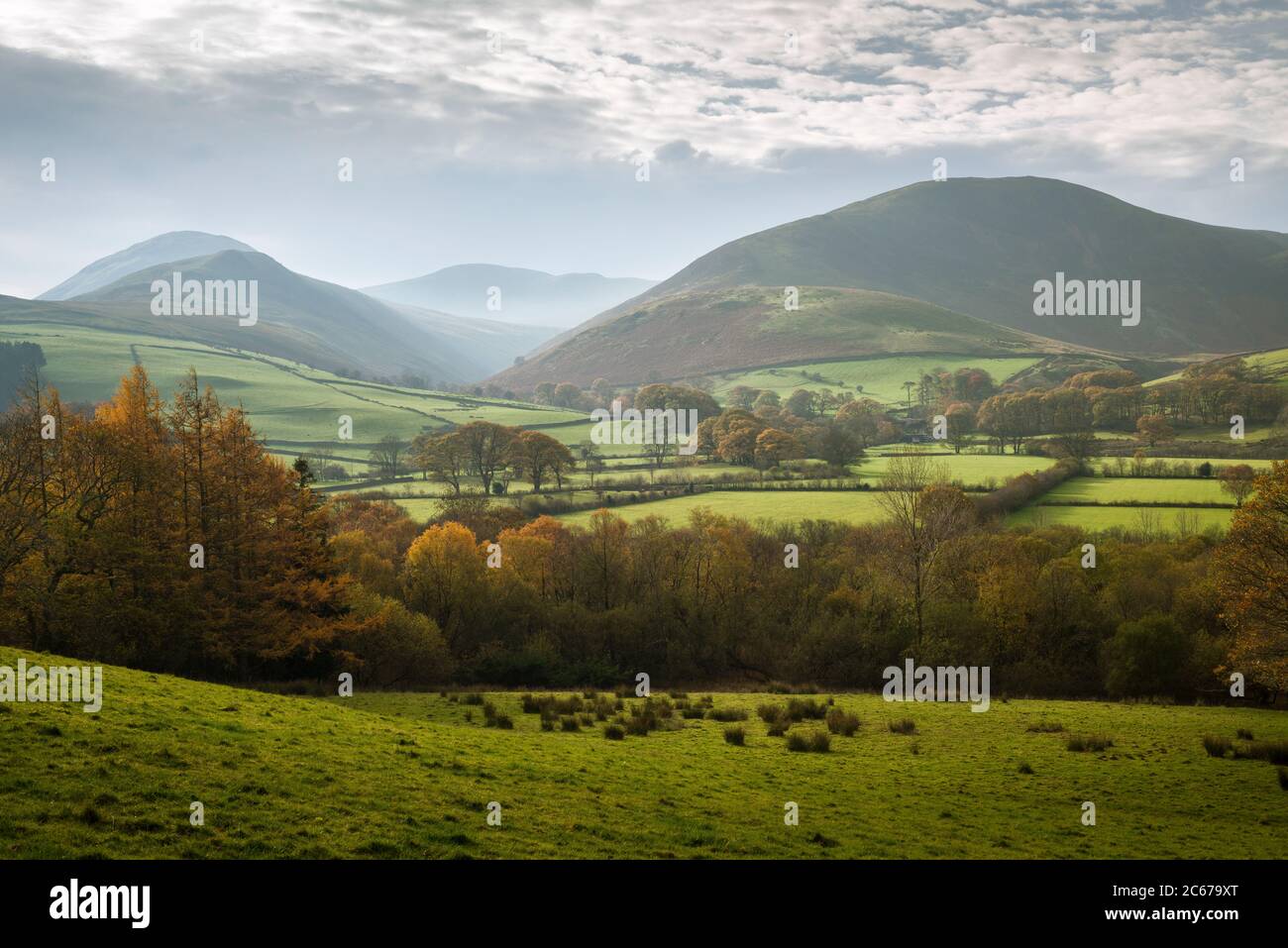 Herbstszene in Loweswater im Lake District National Park, Cumbria, England. Stockfoto