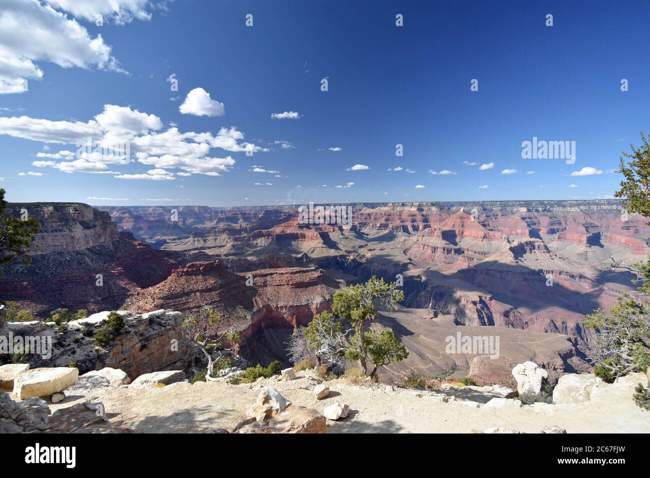 Ein landschaftlich schöner Blick auf den Grand Canyon. Rote Felsformationen und grüne Bäume in der Nähe des Randes sind sichtbar. Der Pfad am Südrand ist unten sichtbar. Stockfoto