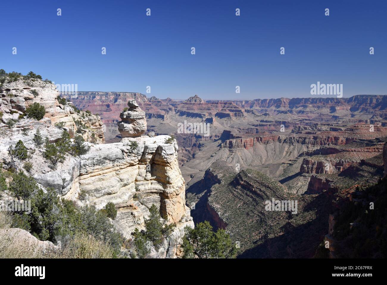 Wüstenblick Drive Felsformation: Ente auf einem Felsen. Der Grand Canyon ist im Hintergrund zu sehen. Blauer Himmel und roter Fels in der Schlucht. Stockfoto