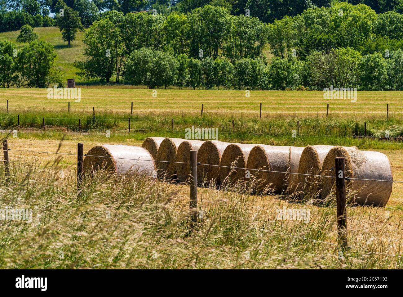 Das Stroh rollt auf dem Feld hinter dem Zaun im Frühling, Deutschland Stockfoto