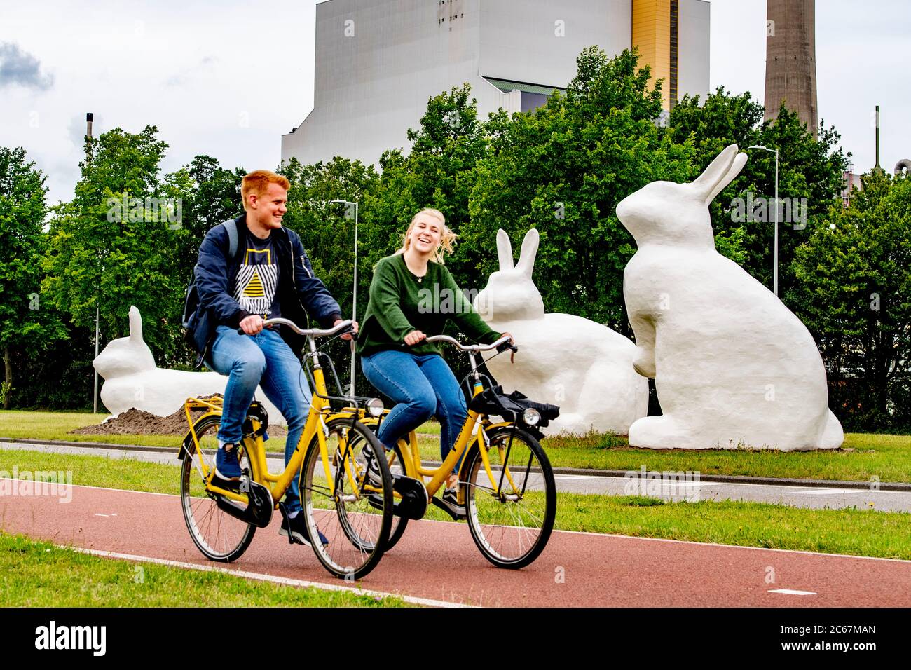 Radler fahren an den drei riesigen Kaninchenstatuen (Berm Bunnies) vorbei und bilden einen Blickfang auf der Schnellradroute von Amsterdam nach Zaanstad im Hafengebiet von Amsterdam. Stockfoto