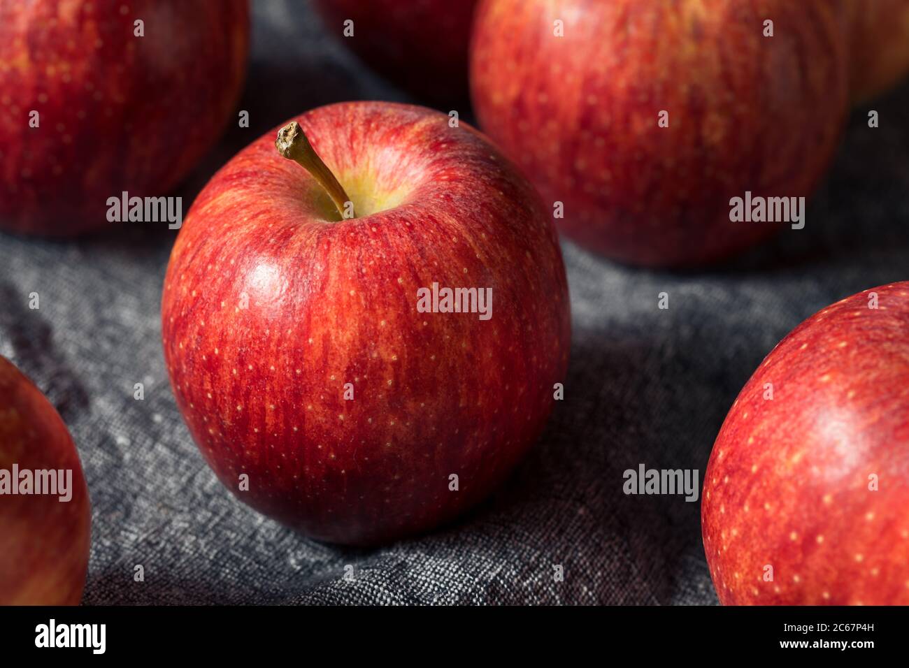 Rohe Rote organische Gala Äpfel in einem Bündel Stockfoto
