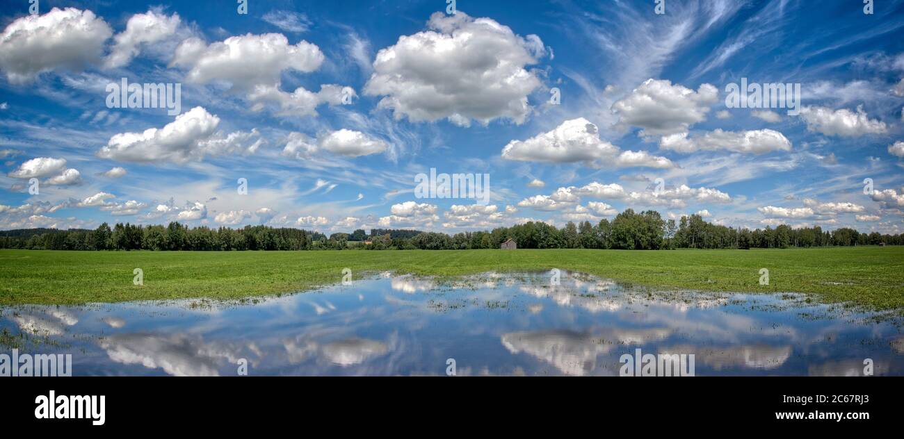 DE - BAYERN: Hoffilze bei Bichl, am Tag nach dem Regen (HDR-Bild) Stockfoto