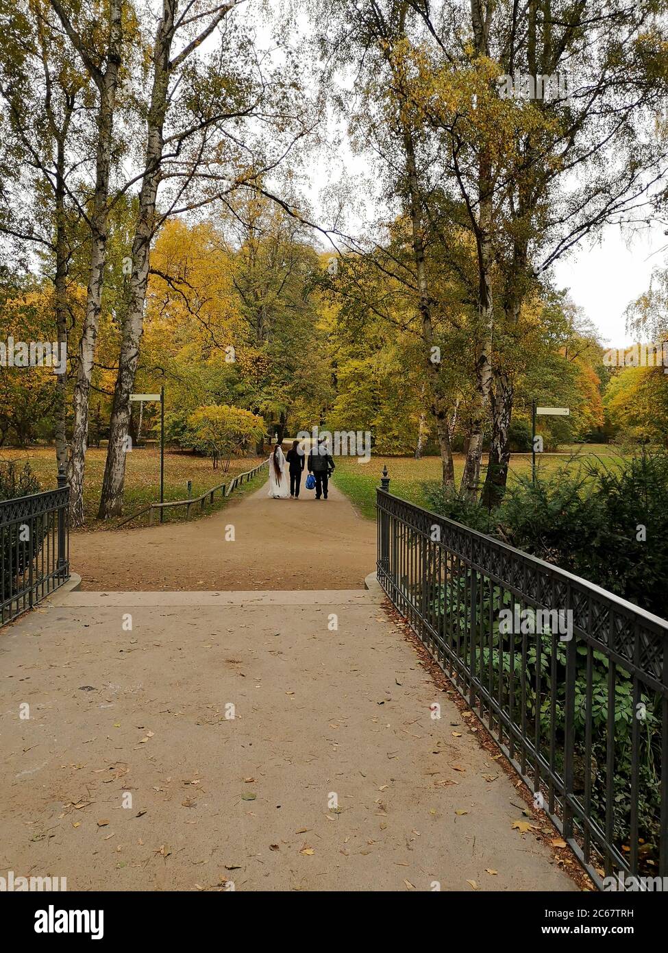 Braut und Bräutigam mit ihrem Fotografen, die an einem ruhigen Herbsttag in einem beliebten Tiergarten-Park spazieren gehen. Blick von der Brücke. Stockfoto