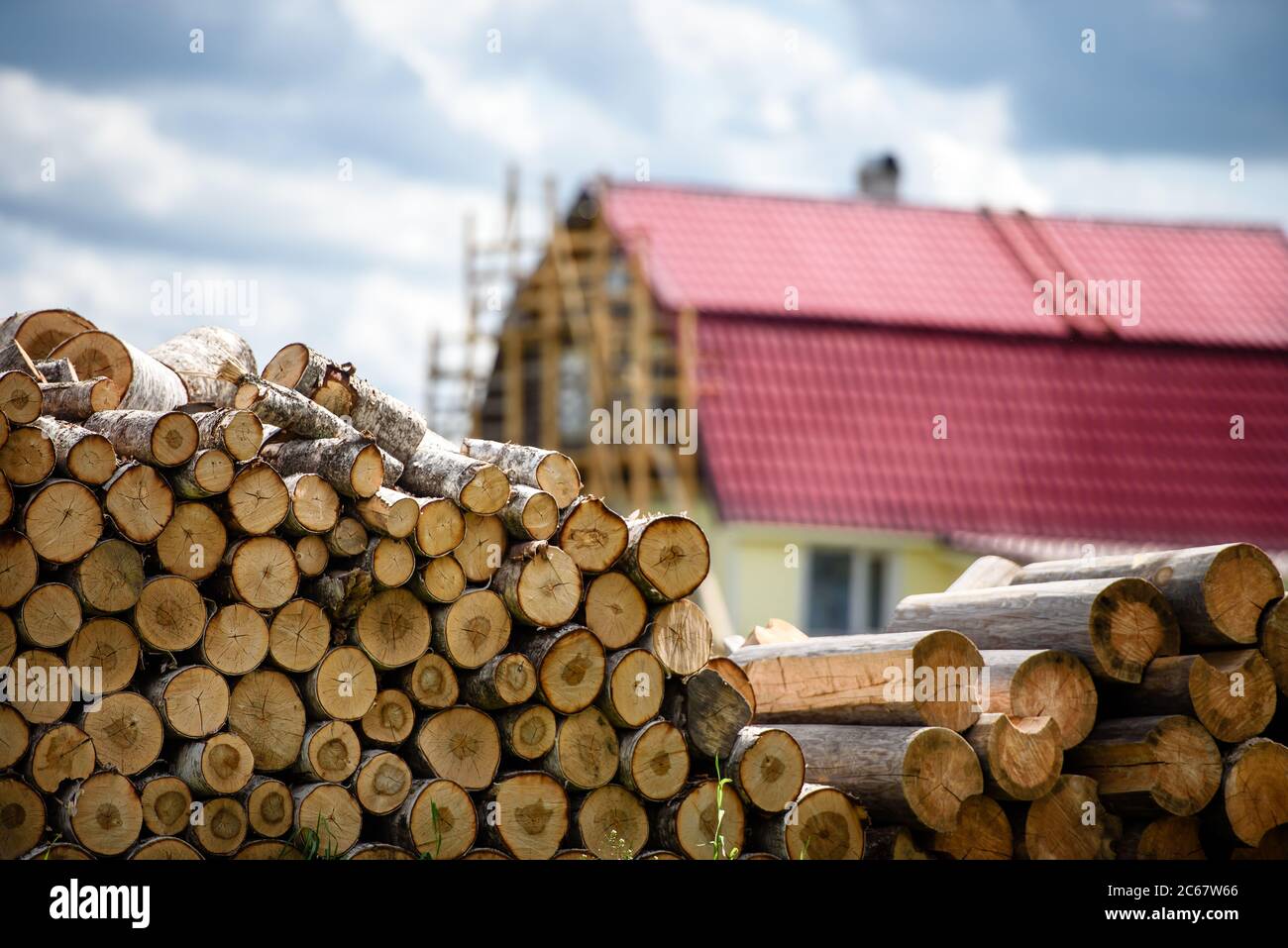 Brennholz Birken Baumstämme auf dem Gras vor dem Haus. Ländliche Landschaft. Stockfoto