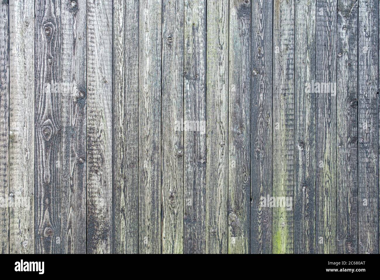Detail einer Holzwand einer Scheune aus grauen vertikalen, verwitterten Brettern, große Vintage-Textur. Stockfoto