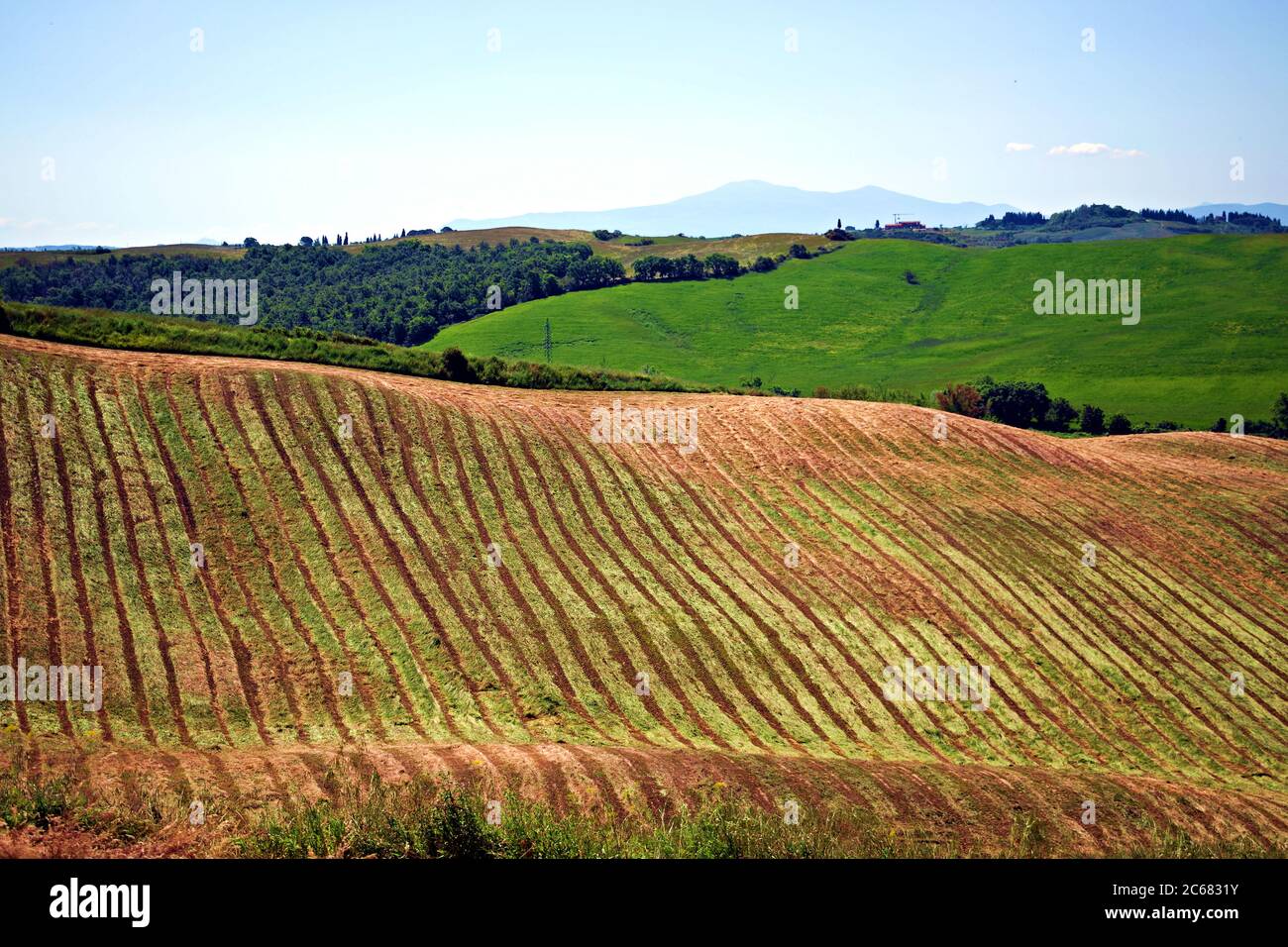 Naturlandschaft der Crete Senesi bei Asciano in der toskanischen Landschaft in Siena, Italien. Stockfoto