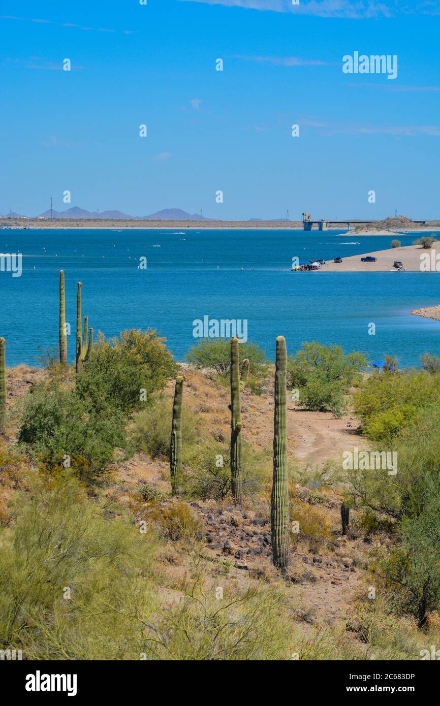 Blick auf Lake Pleasant im Lake Pleasant Regional Park, Sonoran Desert, Arizona USA Stockfoto