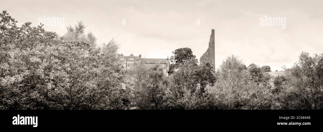 Teil der Trim Burgruine, Trim, County Meath, Irland Stockfoto