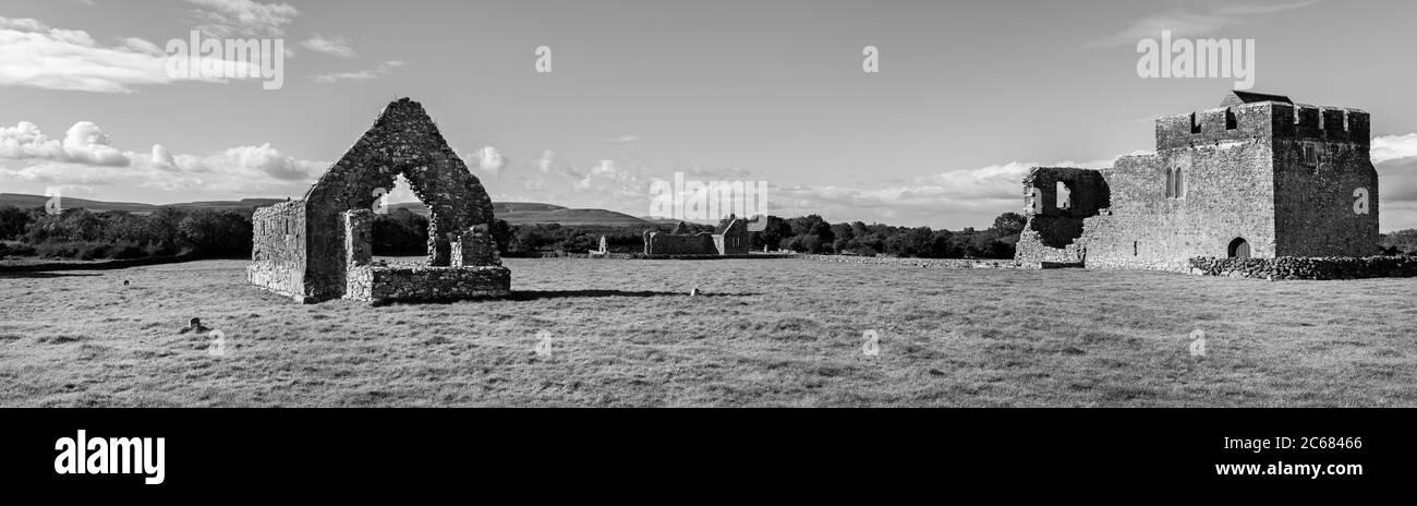 Alte Steinruinen in Wiese, Kloster Kilmacduagh, Gort, Galway, Irland Stockfoto