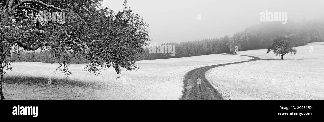 Feldweg durch schneebedecktes Feld, das in den Wald führt, Baden-Württemberg, Deutschland Stockfoto