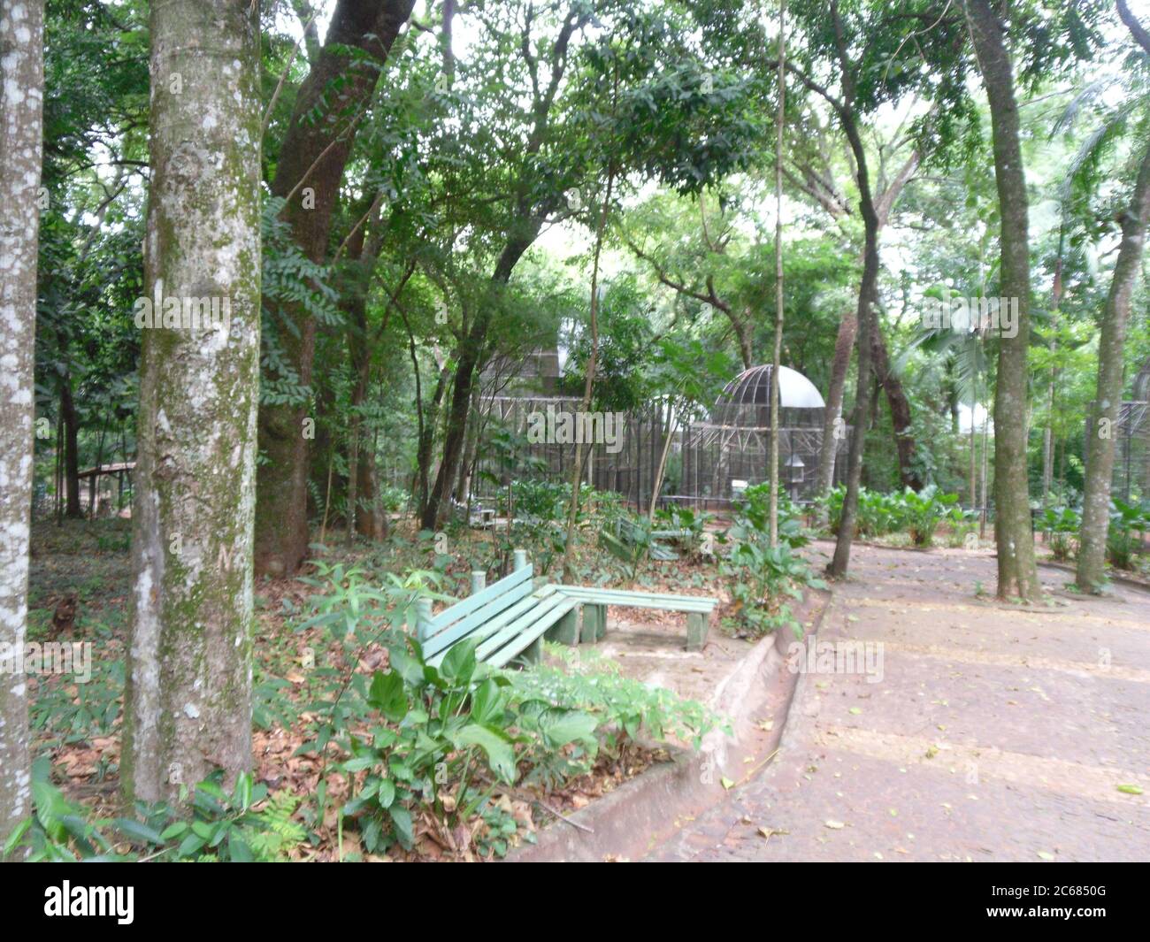 Schöne Natur von Brasilien: Wasserfälle Iguazu. Viel Wasser, Sonne und Glück Stockfoto