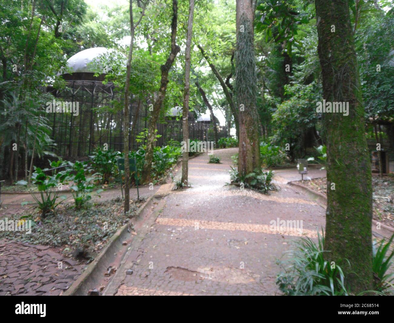 Schöne Natur von Brasilien: Wasserfälle Iguazu. Viel Wasser, Sonne und Glück Stockfoto