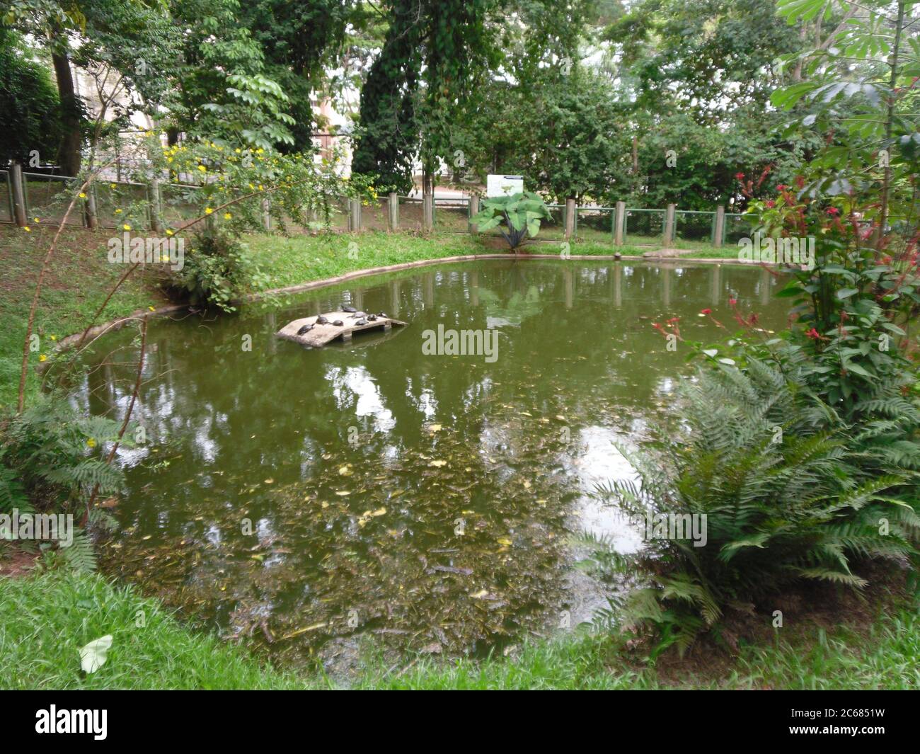 Schöne Natur von Brasilien: Wasserfälle Iguazu. Viel Wasser, Sonne und Glück Stockfoto