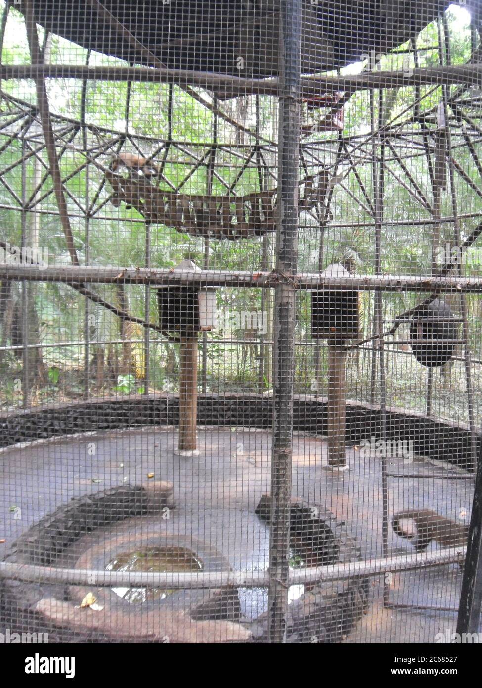 Schöne Natur von Brasilien: Wasserfälle Iguazu. Viel Wasser, Sonne und Glück Stockfoto