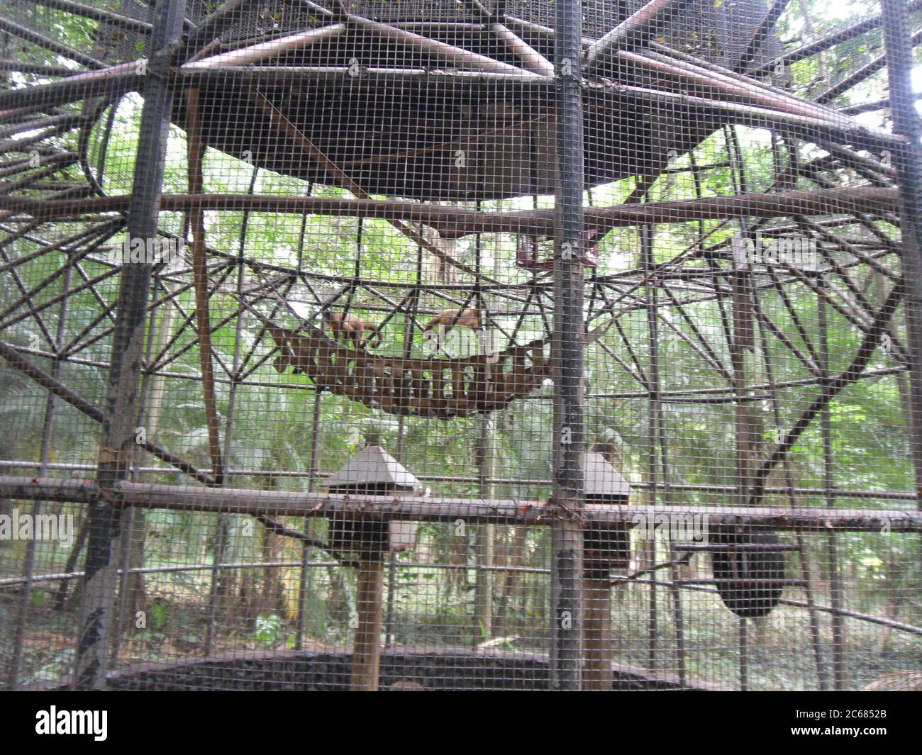Schöne Natur von Brasilien: Wasserfälle Iguazu. Viel Wasser, Sonne und Glück Stockfoto
