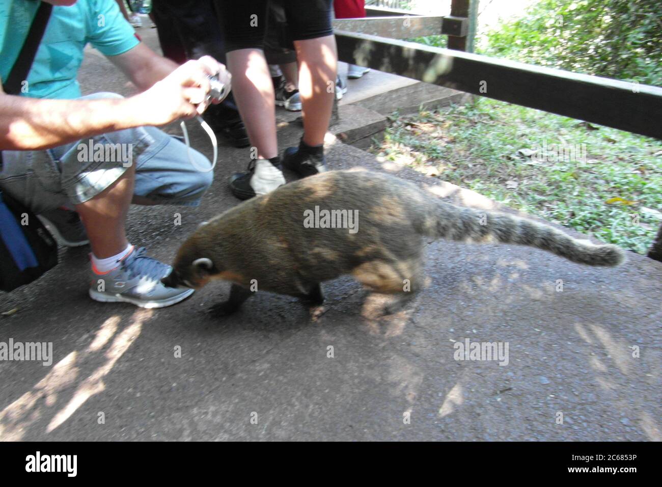 Schöne Natur von Brasilien: Wasserfälle Iguazu. Viel Wasser, Sonne und Glück Stockfoto