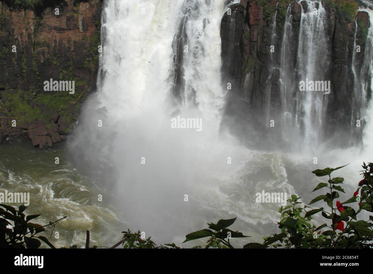 Schöne Natur von Brasilien: Wasserfälle Iguazu. Viel Wasser, Sonne und Glück Stockfoto