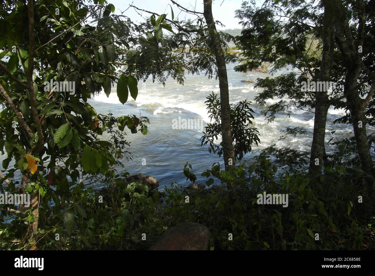 Schöne Natur von Brasilien: Wasserfälle Iguazu. Viel Wasser, Sonne und Glück Stockfoto
