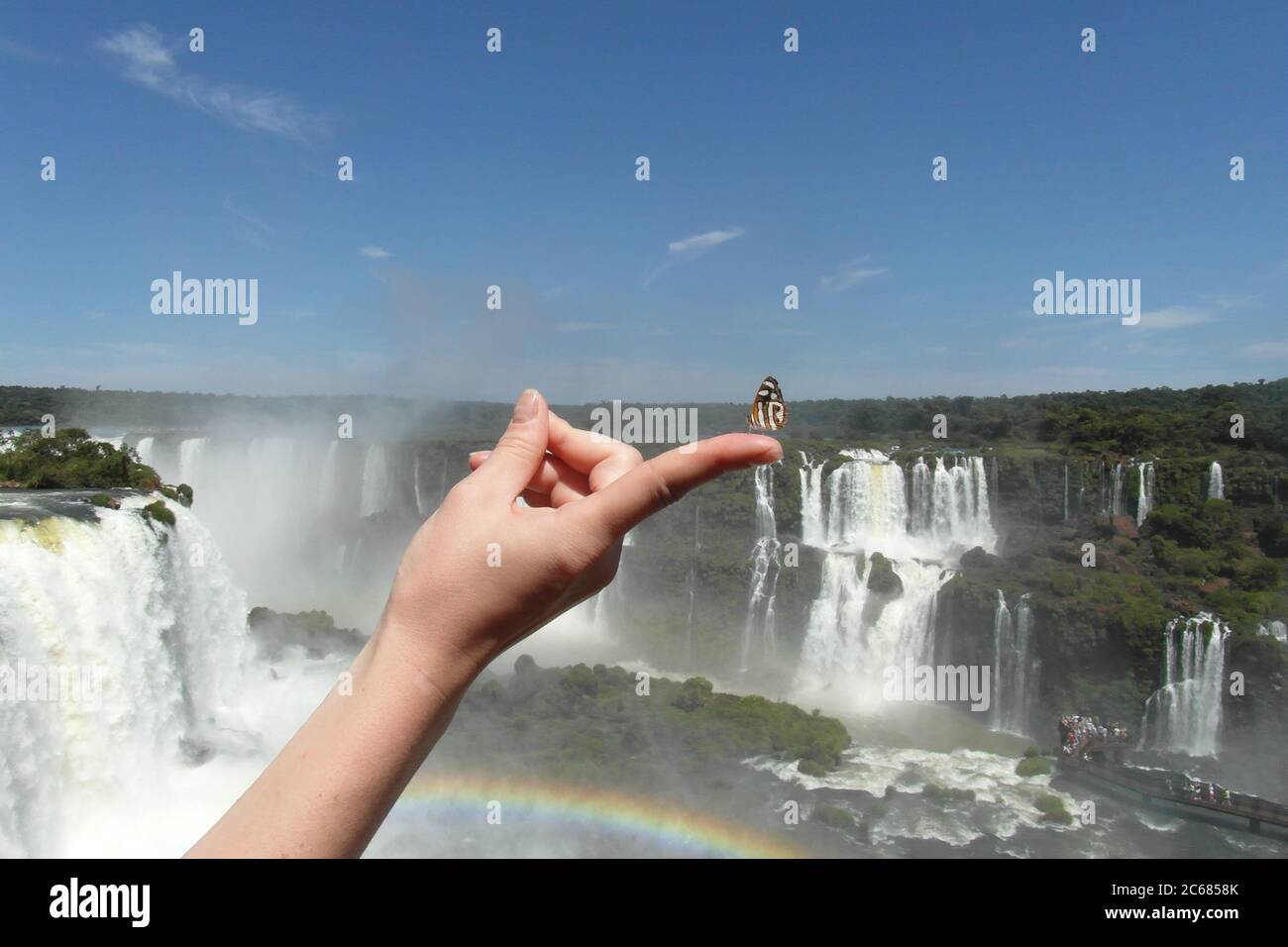 Schöne Natur von Brasilien: Wasserfälle Iguazu. Viel Wasser, Sonne und Glück Stockfoto